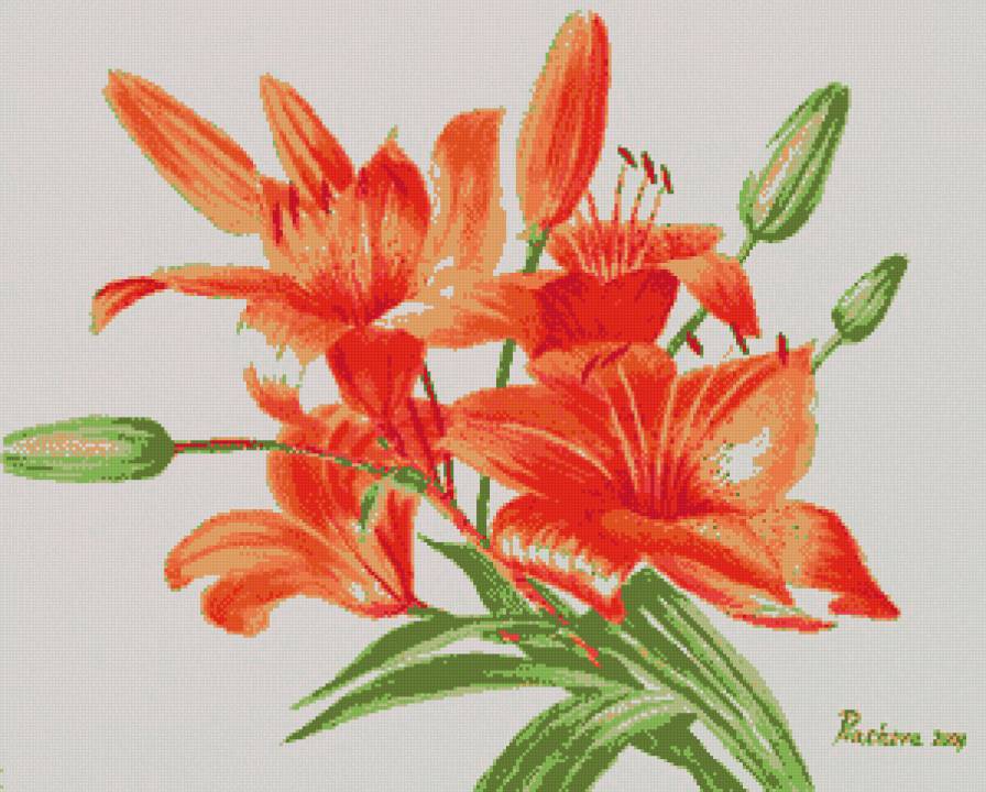 лилия - предпросмотр