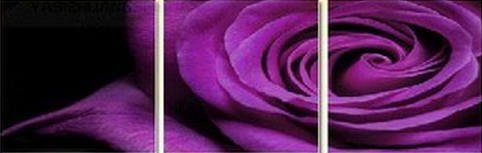 №522809 - цветы, триптих - оригинал