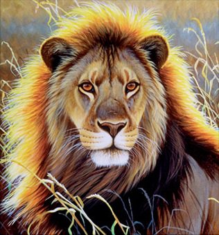 король-лев - львы, африка, хищник, саванна, лев - оригинал