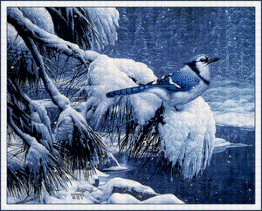 птица на заснеженой ветке - снег, елка, сосна, зима, лес, ветка, птицы, природа, пейзаж - предпросмотр