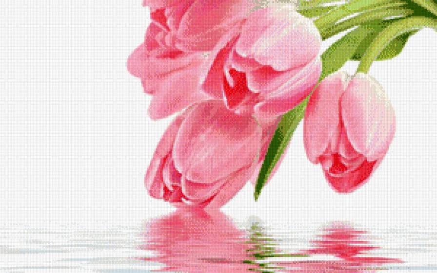 цветы - цветы - предпросмотр