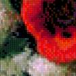 Предпросмотр схемы вышивки «маки» (№523045)