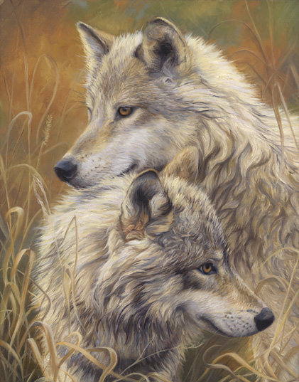 волки - животные волки пара - оригинал