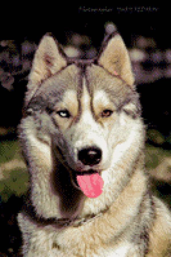 №523091 - предпросмотр