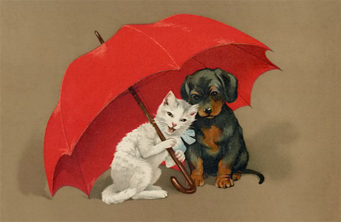 Ребятки под зонтиком - зонтик, кот, собака, животные - оригинал