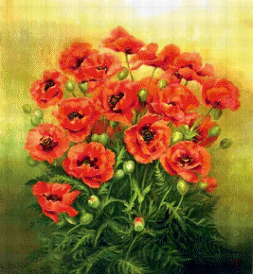 Маки - букет, маки, цыеты, живопись - предпросмотр