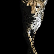 Схема вышивки «Серия "Белое на черном"»