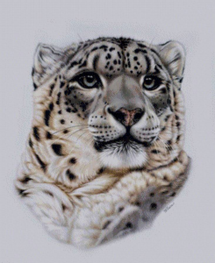 Ирбис - животные, ирбис, снежный барс - предпросмотр