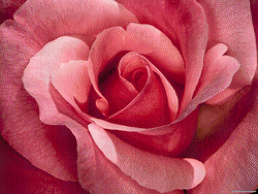 №523374 - предпросмотр