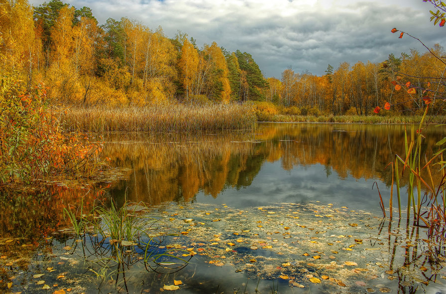 осень золотая - осень вода - оригинал