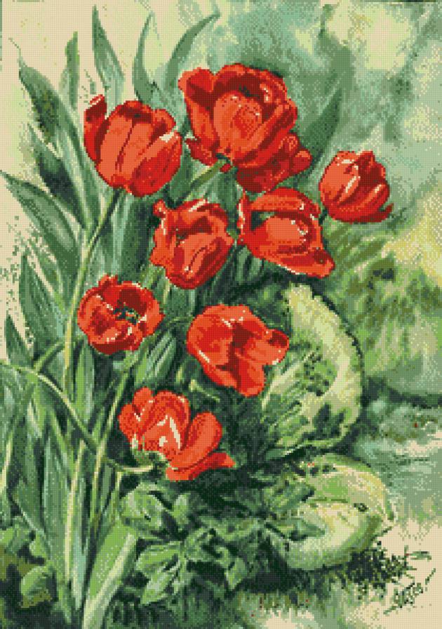 тюльпаны - предпросмотр
