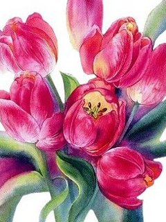 тюльпаны - оригинал