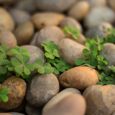 Схема вышивки «Камни»