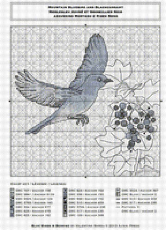 синяя птица - птицы - предпросмотр