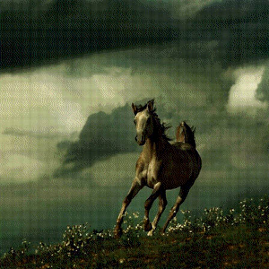 Араб 1 - араб, лошадь - предпросмотр