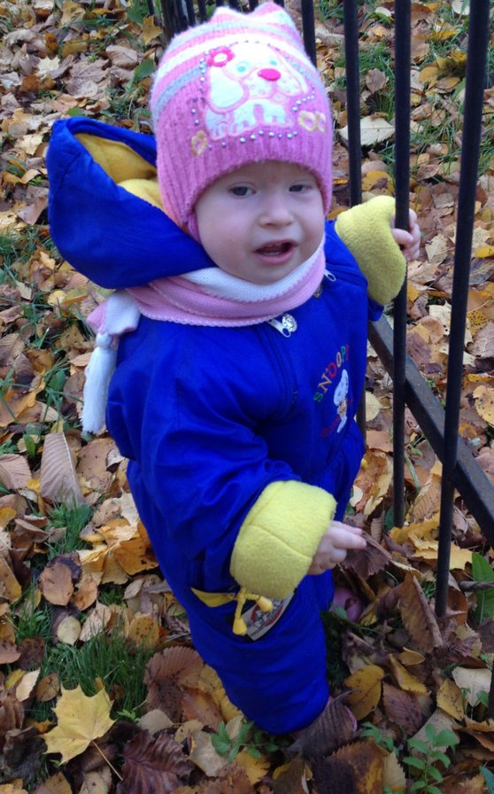 №523586 - оригинал