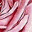 Предпросмотр схемы вышивки «прекрасные розы» (№523614)