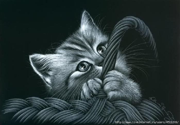 кошечка - кошки - оригинал