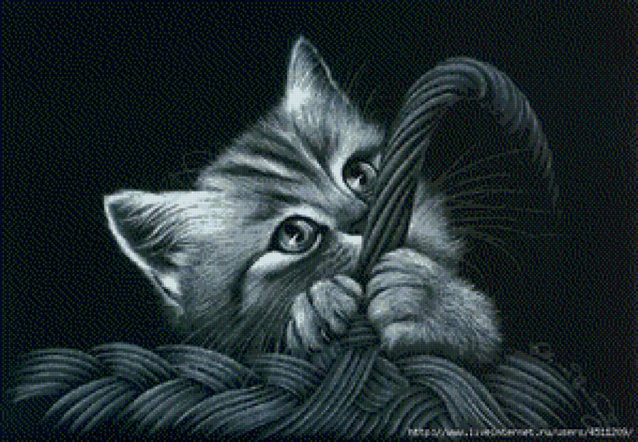 кошечка - кошки - предпросмотр