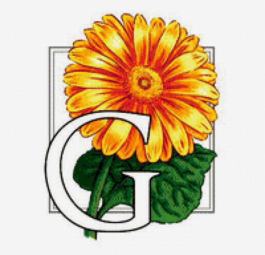 цветок - цветы, цветок - предпросмотр