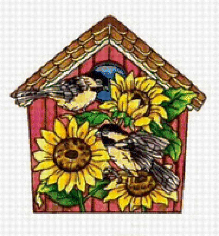 синицы - синицы, птицы - предпросмотр