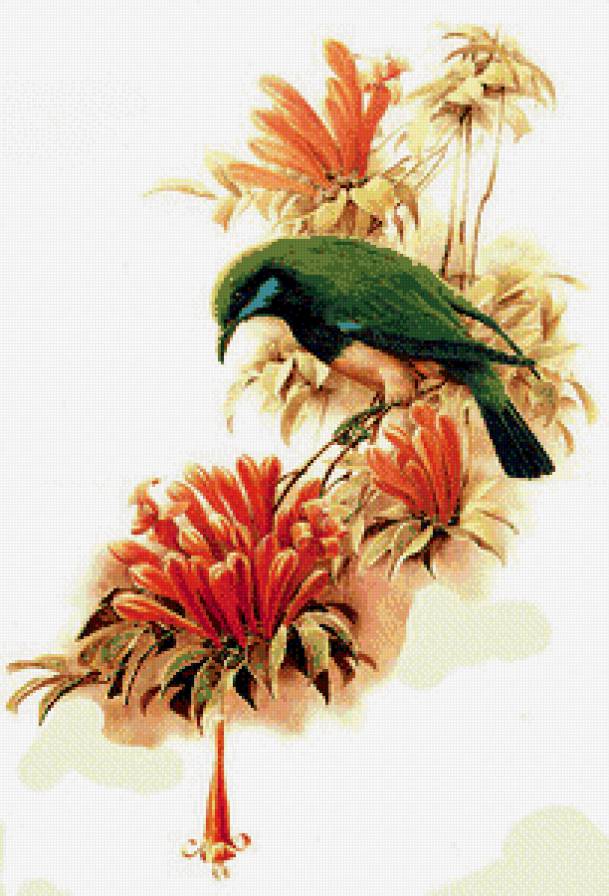 Птичка - птицы - предпросмотр