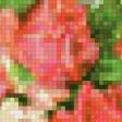 Предпросмотр схемы вышивки «розы в корзинке» (№523732)