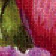 Предпросмотр схемы вышивки «тюльпаны» (№523836)