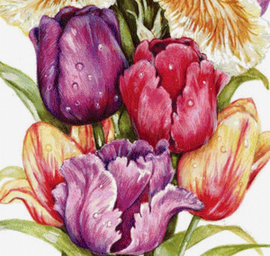 тюльпаны - предпросмотр