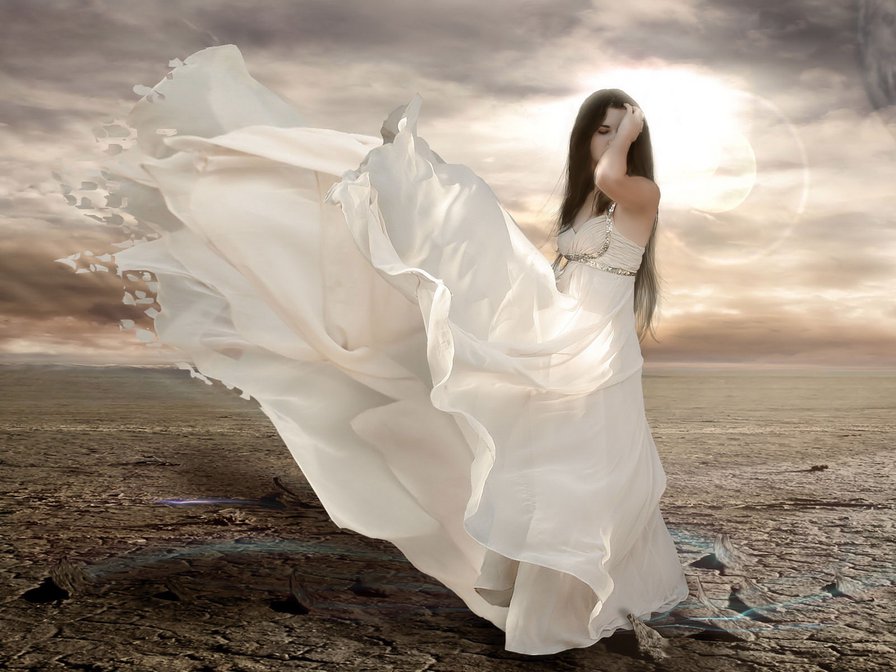 №523845 - оригинал