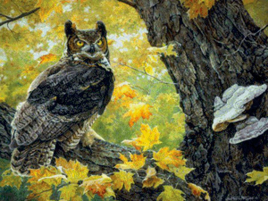 В осеннем лесу - птицы, совы, осень - предпросмотр