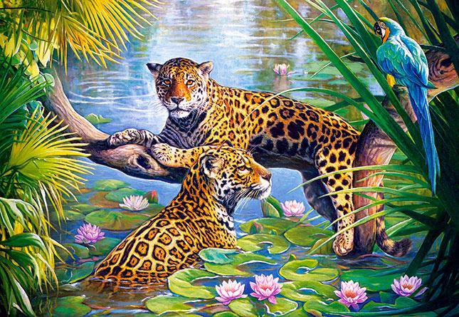 дикая природа - оригинал