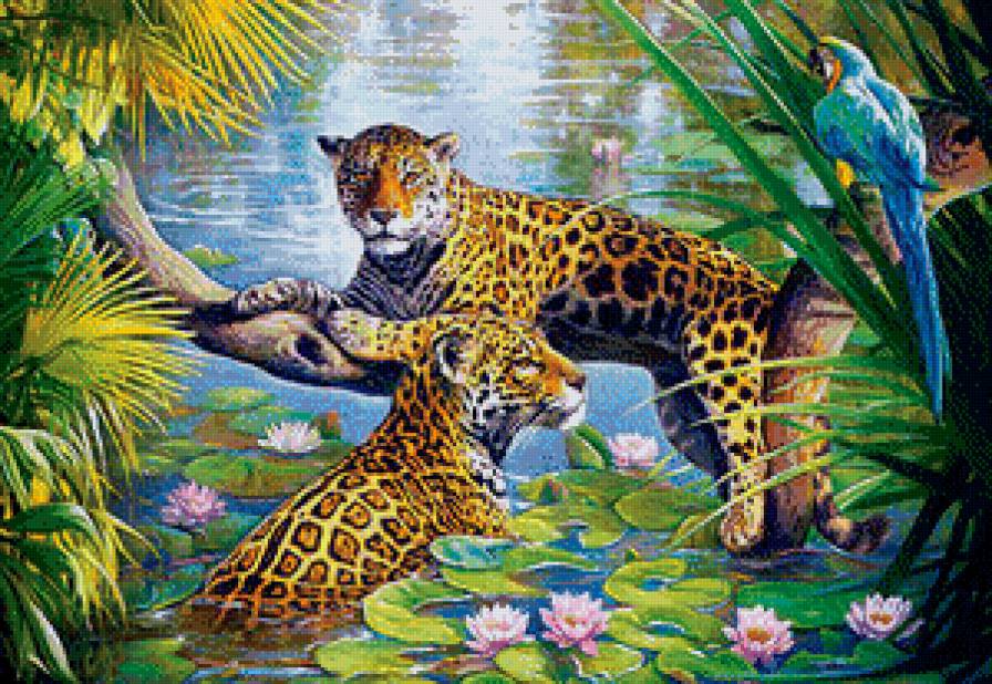 дикая природа - предпросмотр