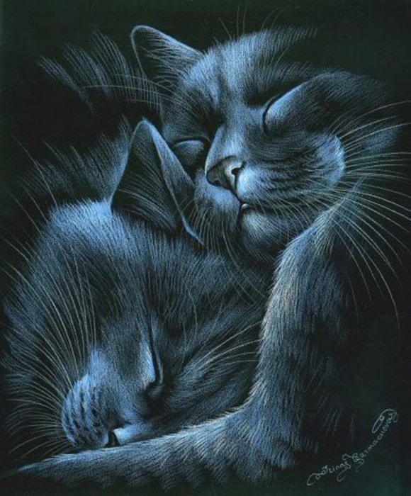 Любовь - животные, кошки - оригинал