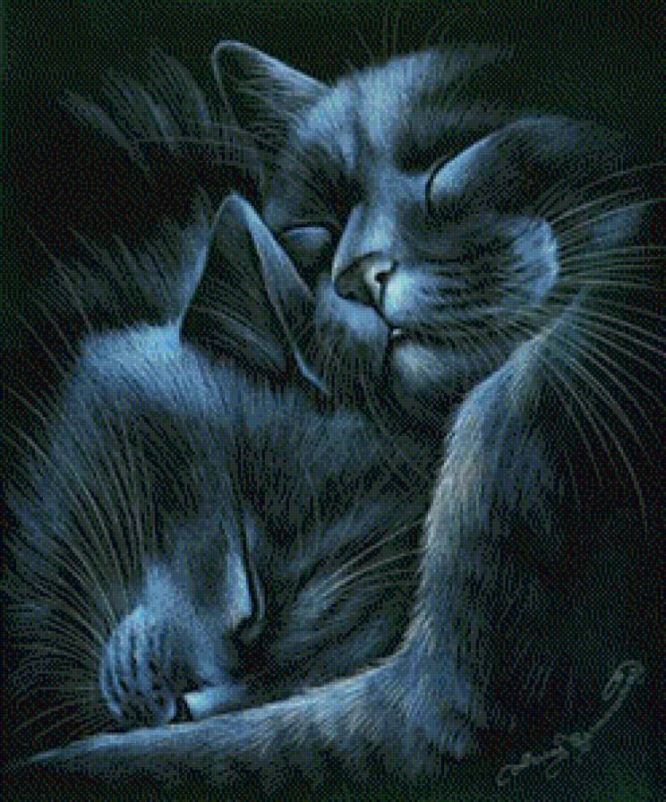 Любовь - кошки, животные - предпросмотр