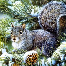 Схема вышивки «белочка»