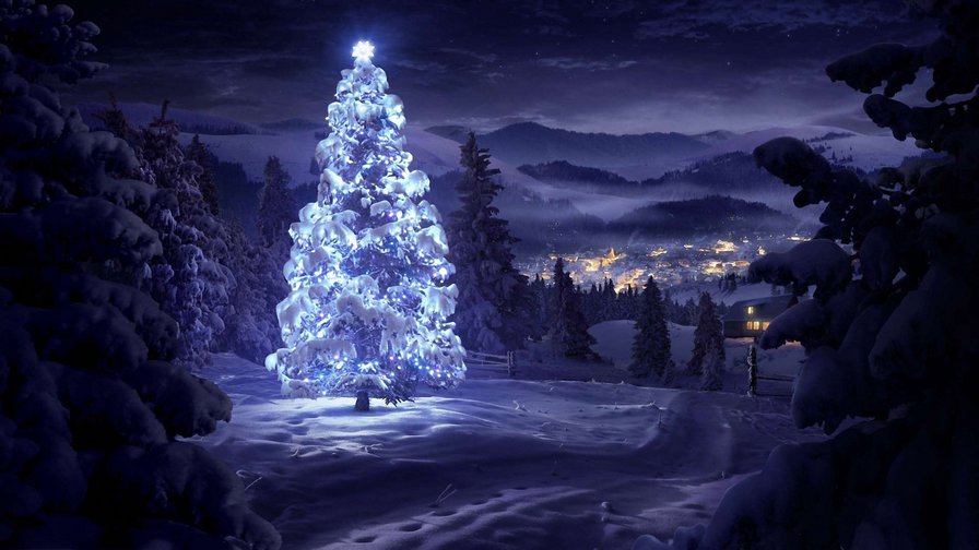 зимний лес рождество - снег, лес, елка, рождество, новый год, зима, новогодняя елка - оригинал
