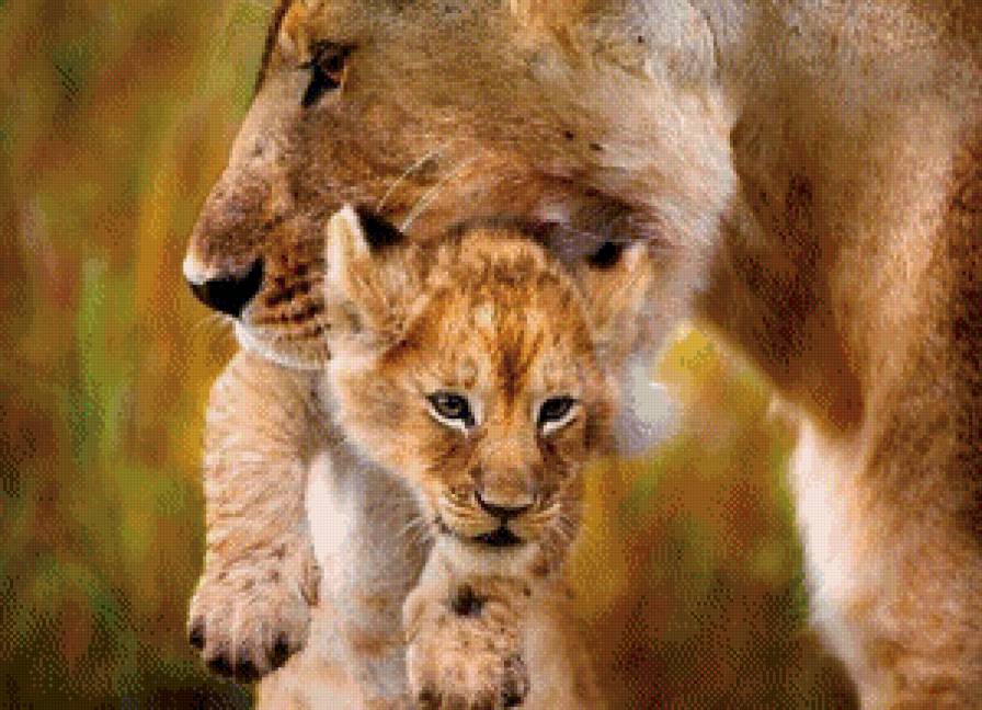 №524486 - мамина любовь, лев - предпросмотр