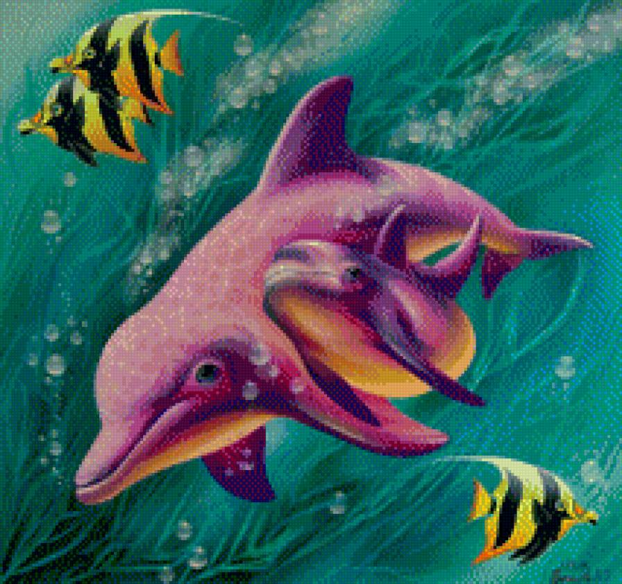 Дельфины - животные - предпросмотр