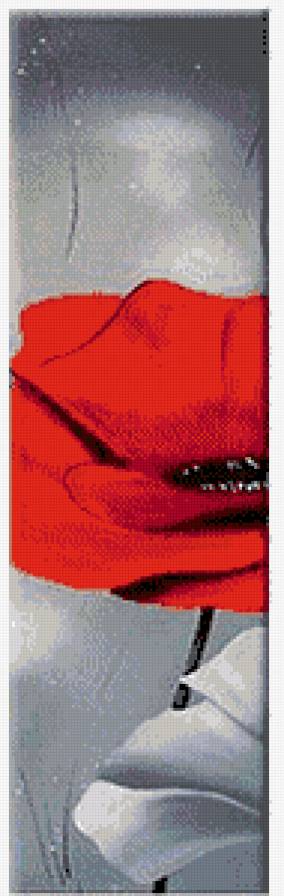 Серо-красные маки_3 - предпросмотр