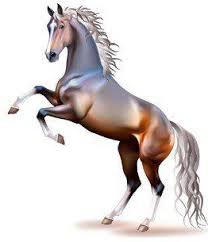 красивые лошади (подборка) - лошадь, год лошади, животные, кони - оригинал