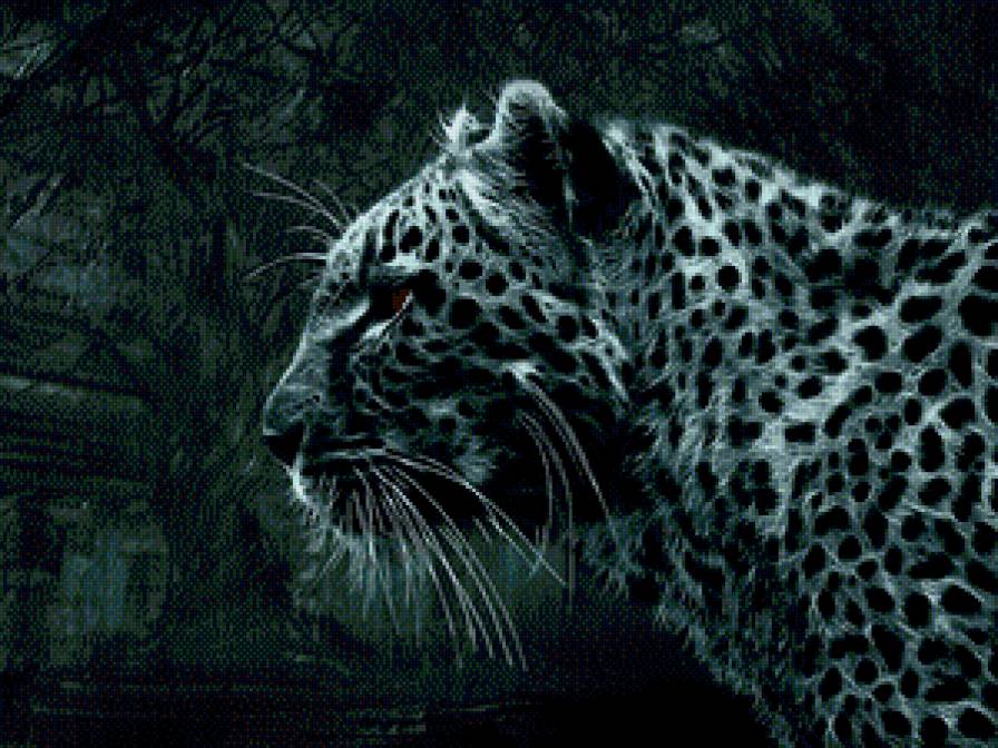 Барс - барс - предпросмотр