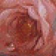 Предпросмотр схемы вышивки «веточка розы» (№524856)