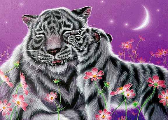 Тигры - животные - оригинал