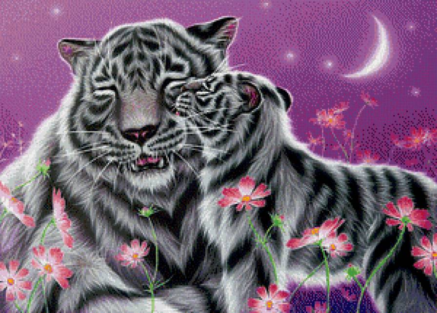 Тигры - животные - предпросмотр