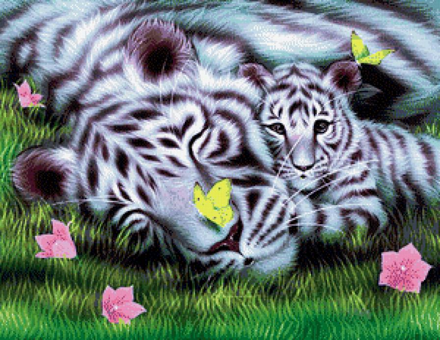 Тигры - животные - предпросмотр