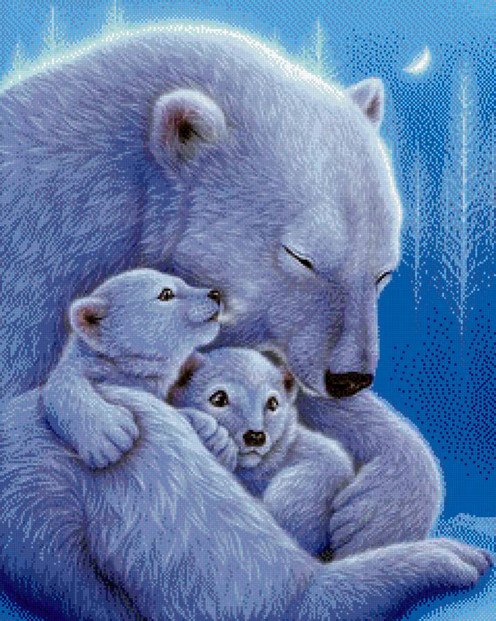 Мишки - животные - предпросмотр