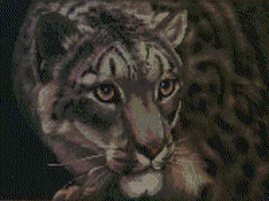 леопард - животные - предпросмотр
