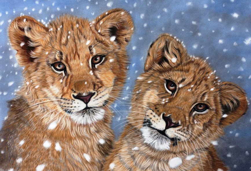 Снежные львята - львы, животные, снег, малыши, снежинки, детки, львята - оригинал