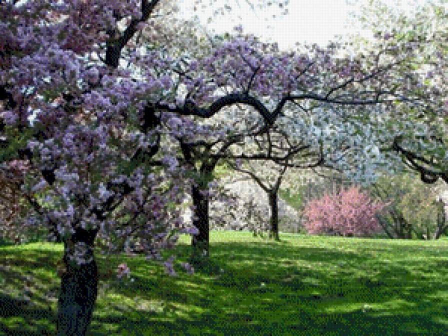 серия "весна" - весна.парк.деревья.цветы - предпросмотр
